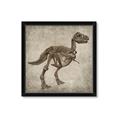 Picture of Dino Skeleton II _GroupedProduct_Square_Mini_ _GroupedProduct_Square_Framed_Matted_