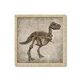 Picture of Dino Skeleton II _GroupedProduct_Square_Mini_ _GroupedProduct_Square_Framed_Matted_