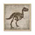 Picture of Dino Skeleton II _GroupedProduct_Square_Mini_ _GroupedProduct_Square_Framed_Matted_