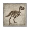 Picture of Dino Skeleton II _GroupedProduct_Square_Mini_ _GroupedProduct_Square_Framed_Matted_