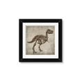 Picture of Dino Skeleton II _GroupedProduct_Square_Mini_ _GroupedProduct_Square_Framed_Matted_