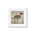 Picture of Dino Skeleton II _GroupedProduct_Square_Mini_ _GroupedProduct_Square_Framed_Matted_