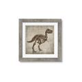 Picture of Dino Skeleton II _GroupedProduct_Square_Mini_ _GroupedProduct_Square_Framed_Matted_