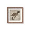 Picture of Dino Skeleton II _GroupedProduct_Square_Mini_ _GroupedProduct_Square_Framed_Matted_