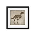 Picture of Dino Skeleton II _GroupedProduct_Square_Mini_ _GroupedProduct_Square_Framed_Matted_