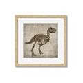 Picture of Dino Skeleton II _GroupedProduct_Square_Mini_ _GroupedProduct_Square_Framed_Matted_