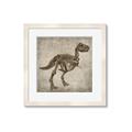 Picture of Dino Skeleton II _GroupedProduct_Square_Mini_ _GroupedProduct_Square_Framed_Matted_