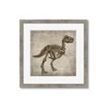 Picture of Dino Skeleton II _GroupedProduct_Square_Mini_ _GroupedProduct_Square_Framed_Matted_