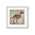 Picture of Dino Skeleton II _GroupedProduct_Square_Mini_ _GroupedProduct_Square_Framed_Matted_