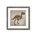 Picture of Dino Skeleton II _GroupedProduct_Square_Mini_ _GroupedProduct_Square_Framed_Matted_