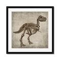 Picture of Dino Skeleton II _GroupedProduct_Square_Mini_ _GroupedProduct_Square_Framed_Matted_