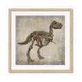 Picture of Dino Skeleton II _GroupedProduct_Square_Mini_ _GroupedProduct_Square_Framed_Matted_