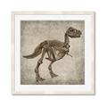 Picture of Dino Skeleton II _GroupedProduct_Square_Mini_ _GroupedProduct_Square_Framed_Matted_