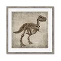 Picture of Dino Skeleton II _GroupedProduct_Square_Mini_ _GroupedProduct_Square_Framed_Matted_