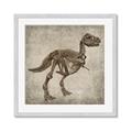 Picture of Dino Skeleton II _GroupedProduct_Square_Mini_ _GroupedProduct_Square_Framed_Matted_