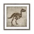 Picture of Dino Skeleton II _GroupedProduct_Square_Mini_ _GroupedProduct_Square_Framed_Matted_