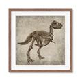 Picture of Dino Skeleton II _GroupedProduct_Square_Mini_ _GroupedProduct_Square_Framed_Matted_