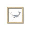 Picture of Narwhal _GroupedProduct_Square_Mini_ _GroupedProduct_Square_Framed_Matted_