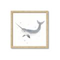 Picture of Narwhal _GroupedProduct_Square_Mini_ _GroupedProduct_Square_Framed_Matted_
