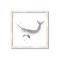 Picture of Narwhal _GroupedProduct_Square_Mini_ _GroupedProduct_Square_Framed_Matted_