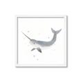 Picture of Narwhal _GroupedProduct_Square_Mini_ _GroupedProduct_Square_Framed_Matted_