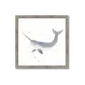Picture of Narwhal _GroupedProduct_Square_Mini_ _GroupedProduct_Square_Framed_Matted_