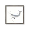 Picture of Narwhal _GroupedProduct_Square_Mini_ _GroupedProduct_Square_Framed_Matted_