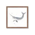 Picture of Narwhal _GroupedProduct_Square_Mini_ _GroupedProduct_Square_Framed_Matted_