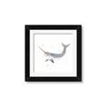 Picture of Narwhal _GroupedProduct_Square_Mini_ _GroupedProduct_Square_Framed_Matted_