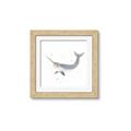 Picture of Narwhal _GroupedProduct_Square_Mini_ _GroupedProduct_Square_Framed_Matted_