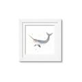 Picture of Narwhal _GroupedProduct_Square_Mini_ _GroupedProduct_Square_Framed_Matted_