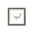 Picture of Narwhal _GroupedProduct_Square_Mini_ _GroupedProduct_Square_Framed_Matted_