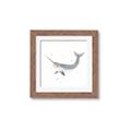 Picture of Narwhal _GroupedProduct_Square_Mini_ _GroupedProduct_Square_Framed_Matted_