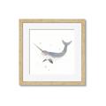 Picture of Narwhal _GroupedProduct_Square_Mini_ _GroupedProduct_Square_Framed_Matted_