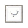 Picture of Narwhal _GroupedProduct_Square_Mini_ _GroupedProduct_Square_Framed_Matted_