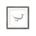Picture of Narwhal _GroupedProduct_Square_Mini_ _GroupedProduct_Square_Framed_Matted_