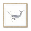 Picture of Narwhal _GroupedProduct_Square_Mini_ _GroupedProduct_Square_Framed_Matted_