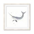 Picture of Narwhal _GroupedProduct_Square_Mini_ _GroupedProduct_Square_Framed_Matted_