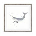 Picture of Narwhal _GroupedProduct_Square_Mini_ _GroupedProduct_Square_Framed_Matted_