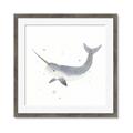 Picture of Narwhal _GroupedProduct_Square_Mini_ _GroupedProduct_Square_Framed_Matted_