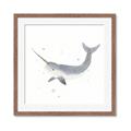 Picture of Narwhal _GroupedProduct_Square_Mini_ _GroupedProduct_Square_Framed_Matted_