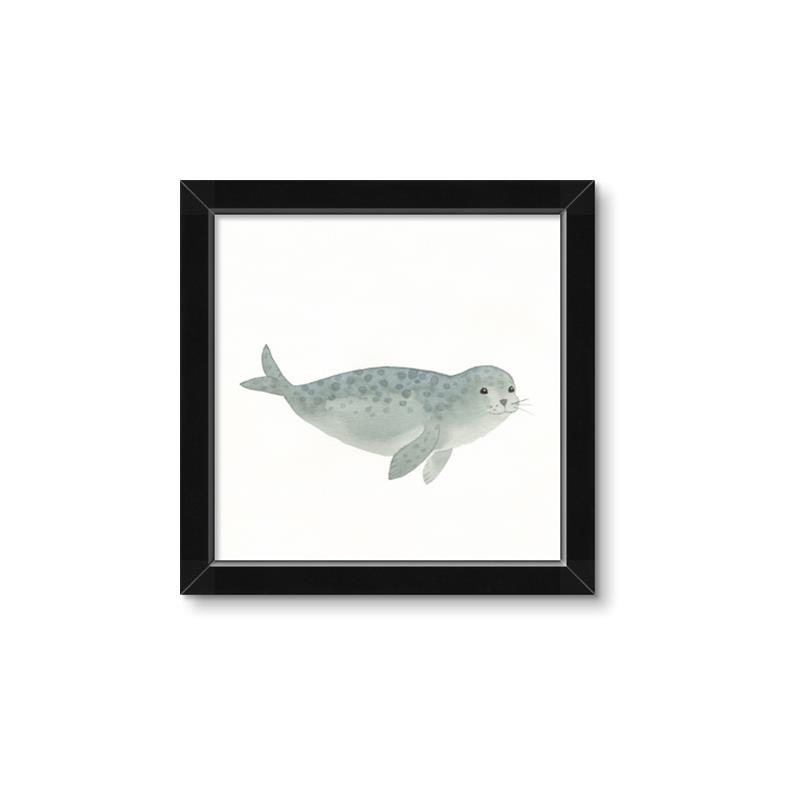Picture of Spotted Seal _GroupedProduct_Square_Mini_ _GroupedProduct_Square_Framed_Matted_