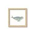 Picture of Spotted Seal _GroupedProduct_Square_Mini_ _GroupedProduct_Square_Framed_Matted_