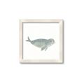 Picture of Spotted Seal _GroupedProduct_Square_Mini_ _GroupedProduct_Square_Framed_Matted_