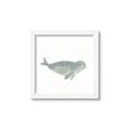 Picture of Spotted Seal _GroupedProduct_Square_Mini_ _GroupedProduct_Square_Framed_Matted_