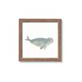 Picture of Spotted Seal _GroupedProduct_Square_Mini_ _GroupedProduct_Square_Framed_Matted_