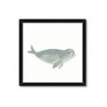 Picture of Spotted Seal _GroupedProduct_Square_Mini_ _GroupedProduct_Square_Framed_Matted_