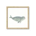 Picture of Spotted Seal _GroupedProduct_Square_Mini_ _GroupedProduct_Square_Framed_Matted_
