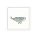 Picture of Spotted Seal _GroupedProduct_Square_Mini_ _GroupedProduct_Square_Framed_Matted_