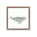 Picture of Spotted Seal _GroupedProduct_Square_Mini_ _GroupedProduct_Square_Framed_Matted_